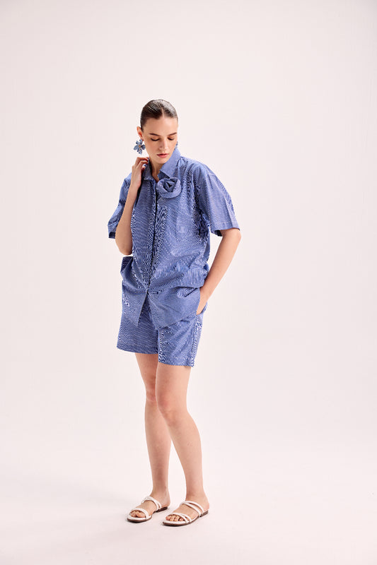 Mounted Flower Pinstripe Shirt And Shorts Co-Ord Set
